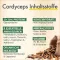 Green Naturals Cordyceps sinensis kapsle, 180 ks