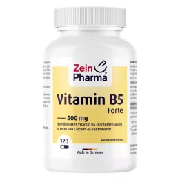 VITAMIN B5 PANTOTHENSÄURE 500 mg tobolky, 120 ks
