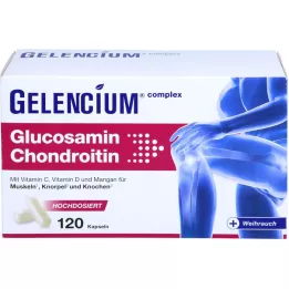 GELENCIUM Glukosamin chondroitin vysokodávkové tobolky Vit C, 120 ks