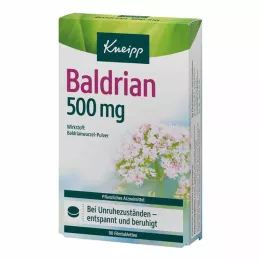 KNEIPP Kozlík lékařský 500 mg potahované tablety, 90 ks