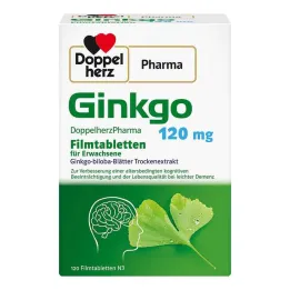 Ginkgo DoppelherzPharma 120 mg potahované tablety, 120 ks