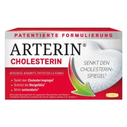 Arterin cholesterol tablety, 90 ks