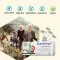 Gastritol® pastilky, 10 ks