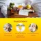 Sinusitis Hevert tablety, 300 ks