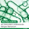 Bioticloges subtilis kapsle, 30 ks