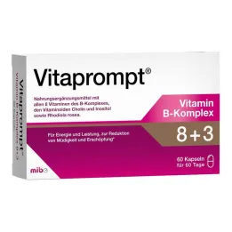 Vitaprompt Vitamín B komplex 8 + 3 kapsle, 60 kapslí